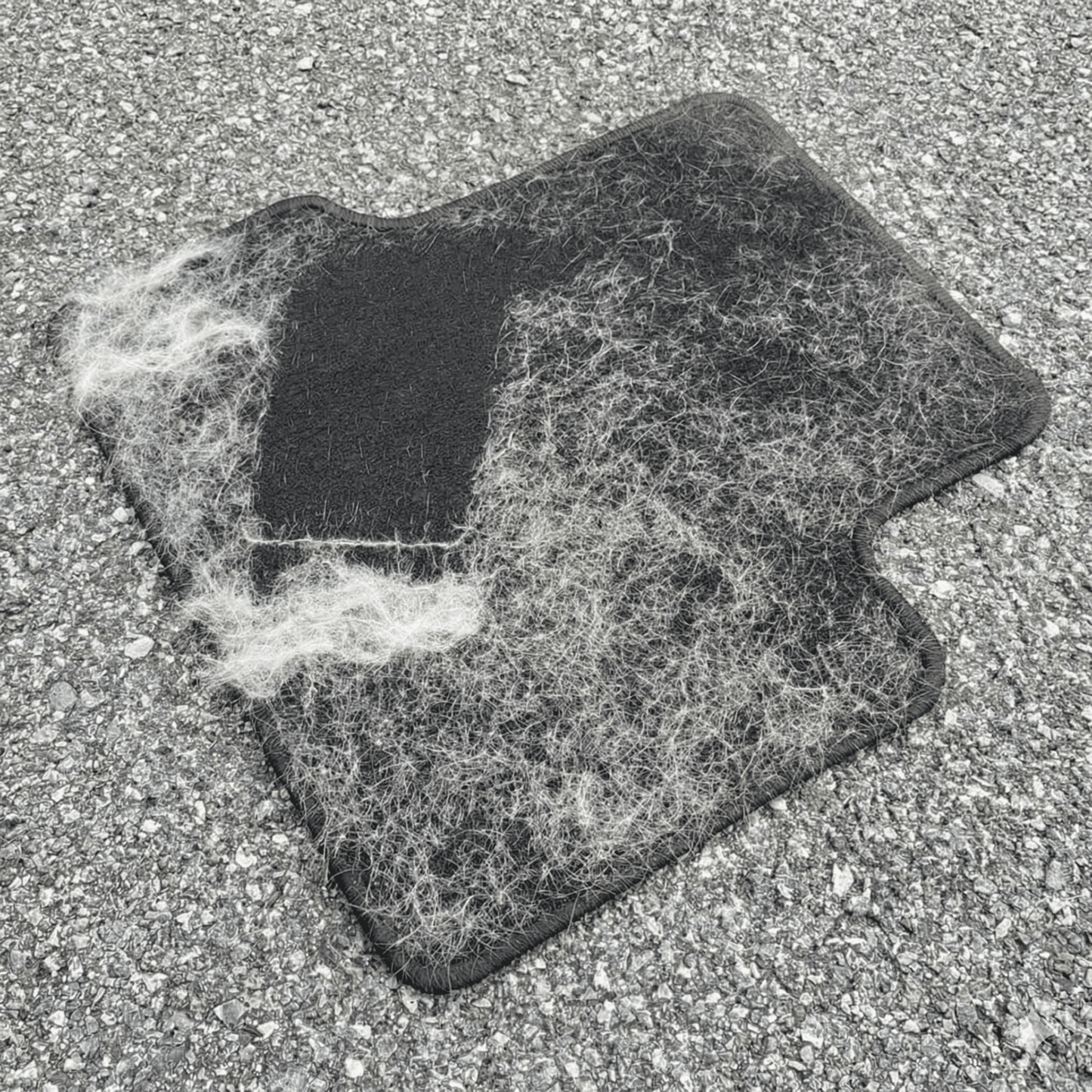 PetClean Mini™ - PetClean