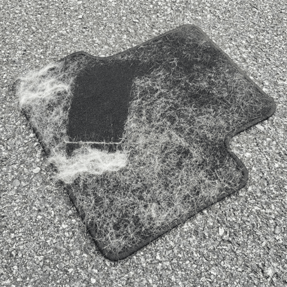 PetClean Mini™ - PetClean