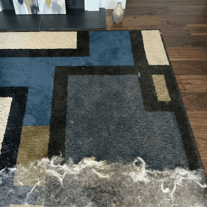 PetClean Pro™ - PetClean