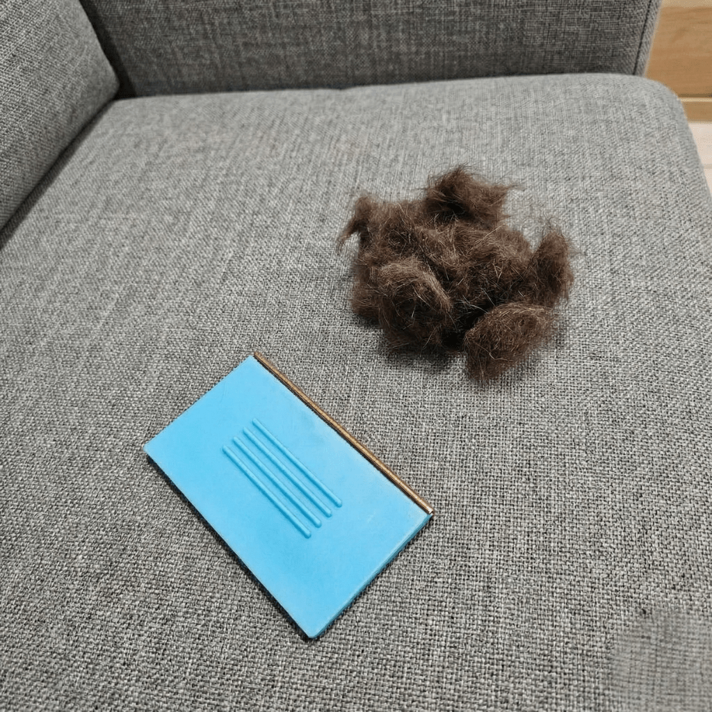 Teljes Túlélő Csomag - PetClean