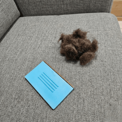 Teljes Túlélő Csomag - PetClean