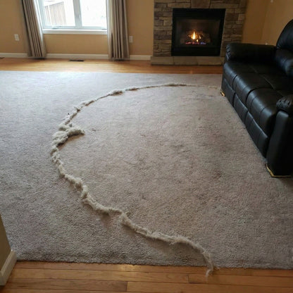 PetClean Pro™