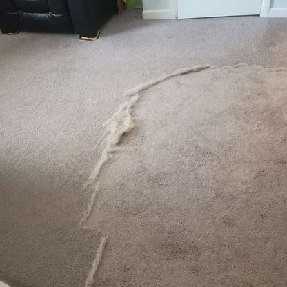 Teljes Túlélő Csomag - PetClean